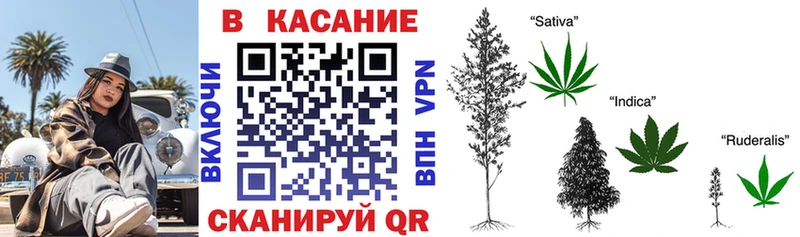 Как найти закладки Сенгилей Галлюциногенные грибы  Экстази  Кокаин  МЕФ  Гашиш  Канабис 